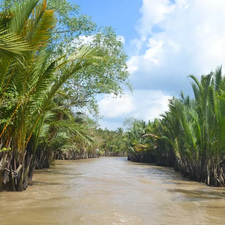 Mekong-delta