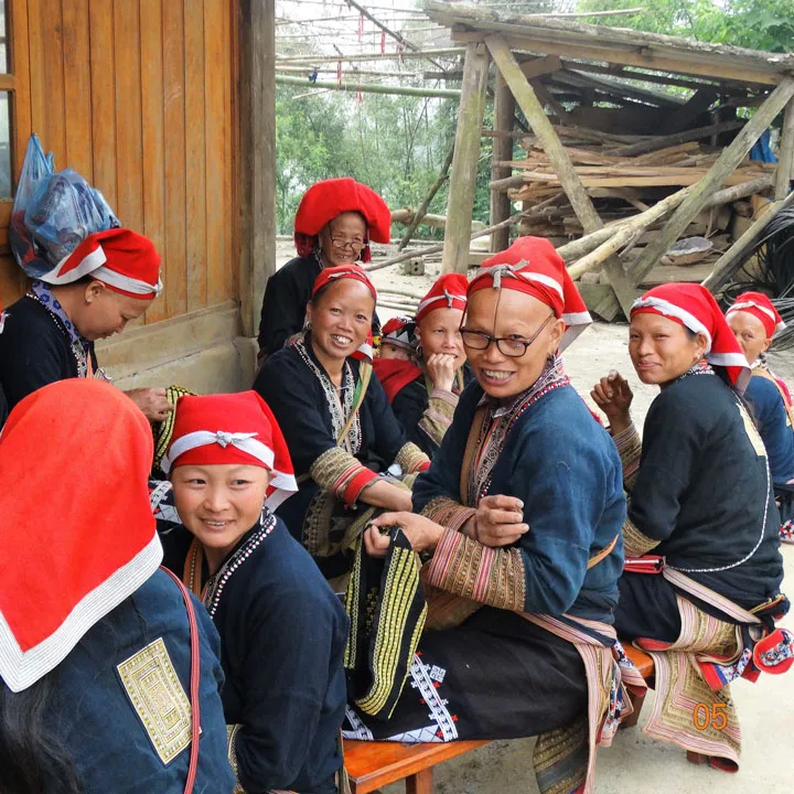 sapa-1