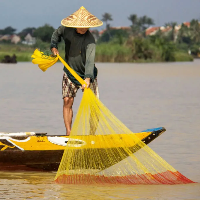 vn
